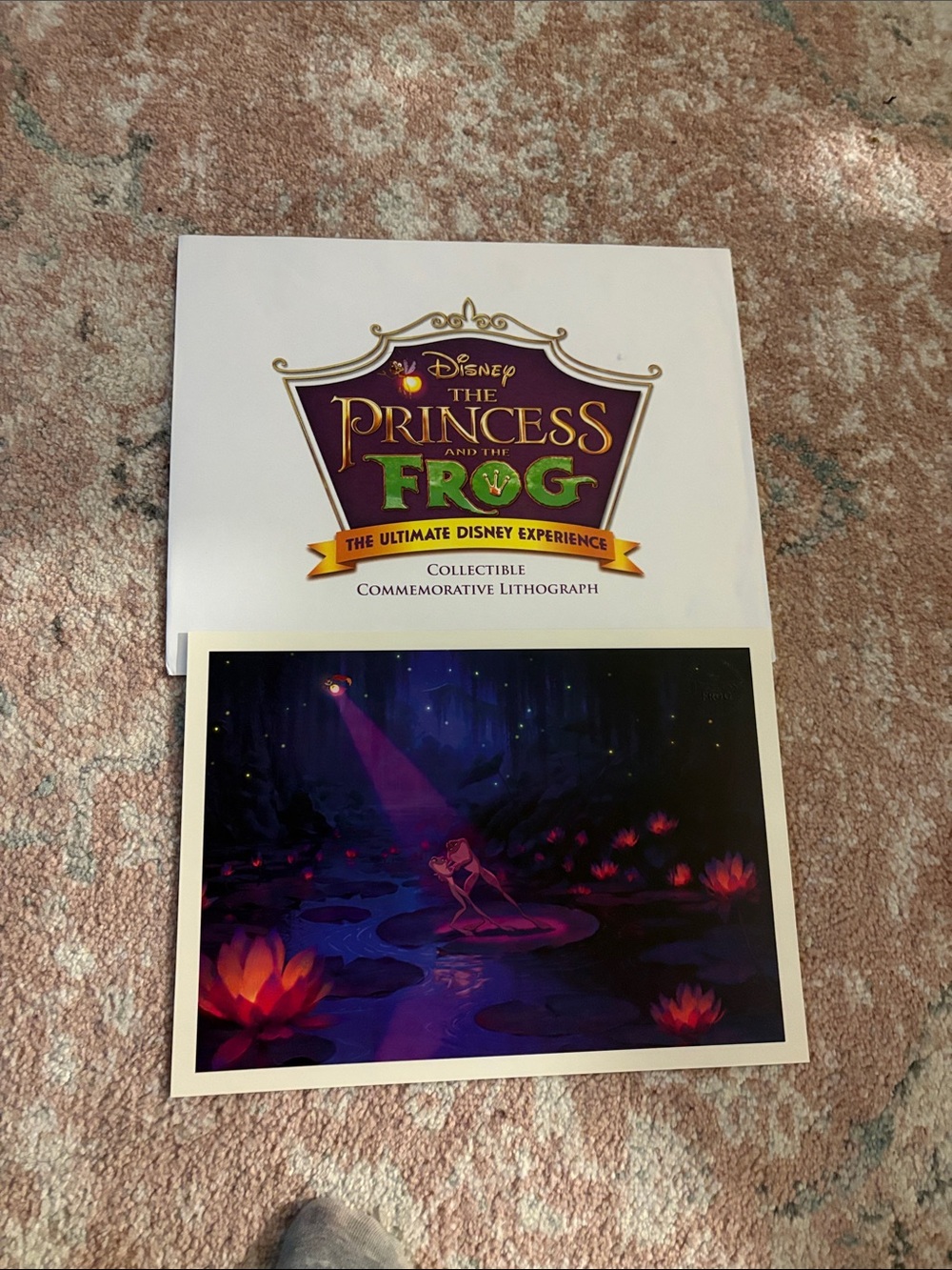 Princess and the Frog Commemorative Lithograph